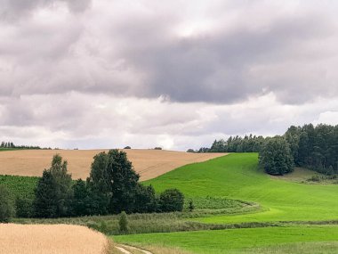 Kashubia 'da kara bulutlar var. Fırtına yaklaşıyor. Kuzey Polonya 'nın şaşırtıcı doğası.