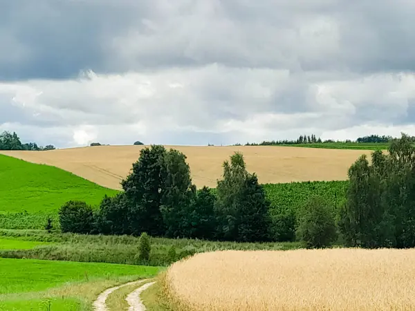 Kashubia 'da bir fırtına yaklaşıyor. Kuzey Polonya 'nın yaz güzelliği.