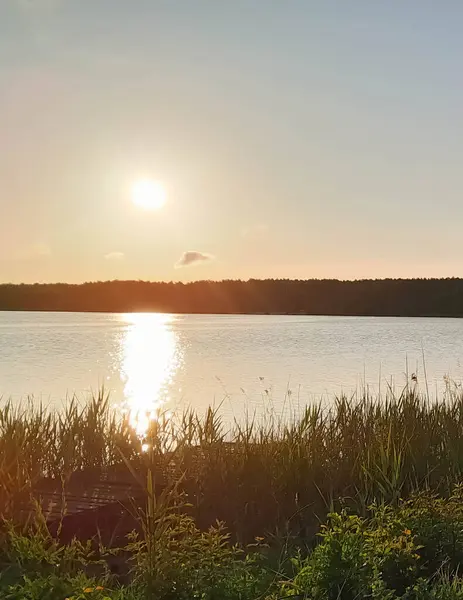 Wdzydzkie Gölü, Kashubia 'da sabahın erken saatlerinde. Doğanın güzelliği.