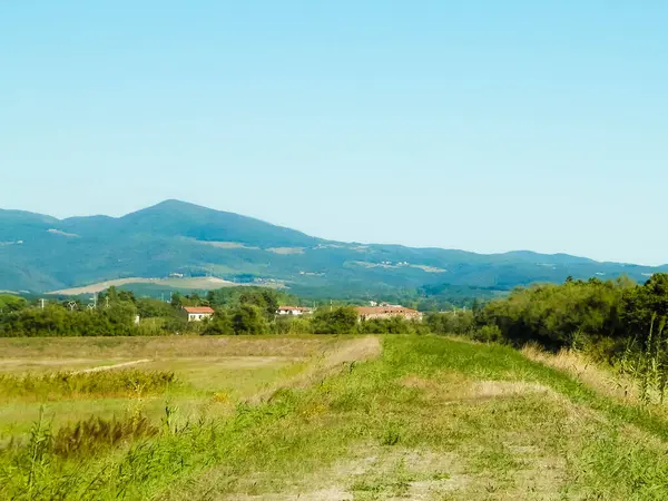Toskana, arka planda çayır ve Apeninlerin manzarası. İtalya, Toskana 'da yaz.