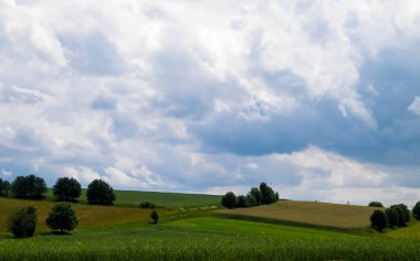 Wiezyca Bölgesi, Pomerania, Kashubia, Polonya 'nın güzel tepeleri ve çayır manzarası.