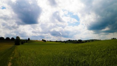 Wiezyca Bölgesi, Pomerania, Kashubia, Polonya 'nın güzel tepeleri ve çayır manzarası.