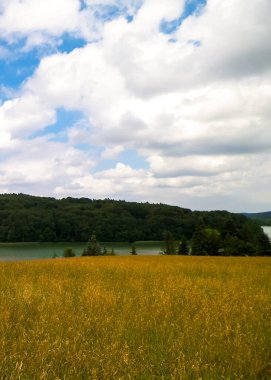 Kashubia 'da yaz. Arka planda Field ve Ostrzyckie Gölü var. Polonya 'nın güzel doğası.