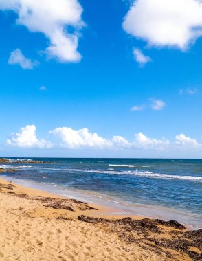 Paphos yakınlarındaki Kıbrıs adasının kıyısında. Saf doğa..