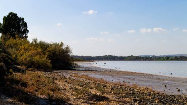 Tuz Gölü kıyısında Larnaka Gölü. Kıbrıs Adası. Kirişin doğası.