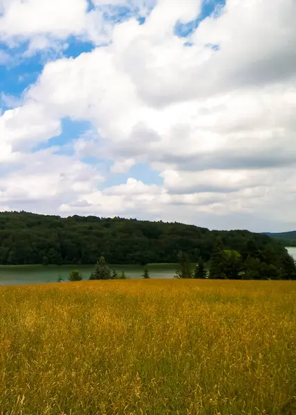 Kashubia 'da yaz. Arka planda Field ve Ostrzyckie Gölü var. Polonya 'nın güzel doğası.