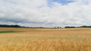Kashubia 'da kara bulutlar var. Fırtına yaklaşıyor. Kuzey Polonya 'nın şaşırtıcı doğası.