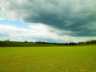 Kashubian Bölgesi, Wiezyca 'daki yeşil tarlalar ve tepeler. Wiezyca Polonya 'nın turistik bölgesidir.