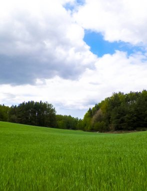 Kashubian Bölgesi, Wiezyca 'daki yeşil tarlalar ve tepeler. Wiezyca Polonya 'nın turistik bölgesidir.