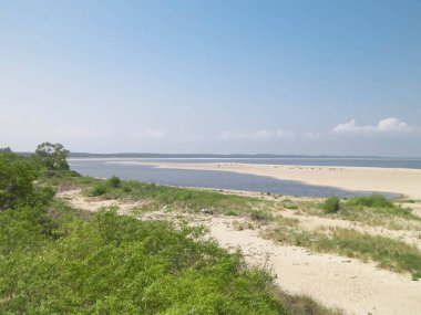 Sobieszewska Adası 'ndaki Baltık Denizi Kıyısı. Vistula Nehri 'nin kıyısında. Kuzey Polonya 'nın doğası.
