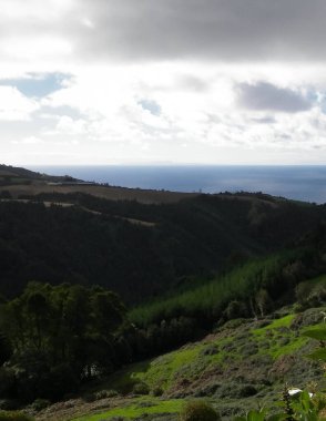 Tipik Azores manzarası. Arka planda doğal yeşil arazi tepeleri ve deniz. Doğanın güzelliği konsepti.