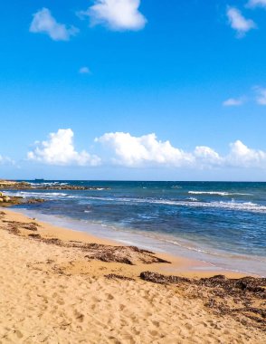 Paphos yakınlarındaki Kıbrıs adasının kıyısında. Saf doğa..