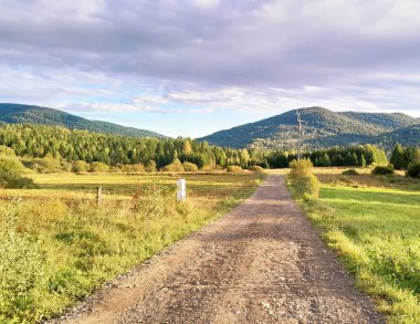 Güneşli bir günde Polonya Bieszczady Dağları 'nın güzel manzarası. Karpatların güzelliğini keşfetmek.
