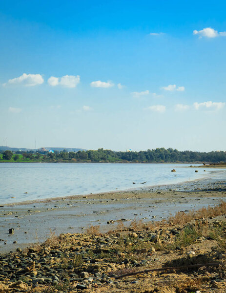 Ларнака-об-Кипр. Соленое озеро недалеко от города Ларнака. Природная среда обитания птиц фламинго.