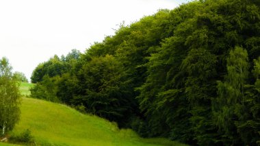 Green hills and forest - landscape of Kashubian Region, Poland. Travel and nature concept.