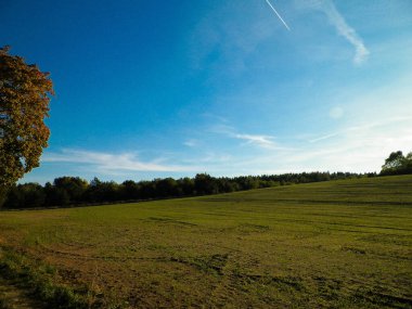 Yaz sonu - sonbahar ağaçları ve tarlalar. Polonya doğası. Mavi gökyüzündeki boşluğu kopyala. Mechelinki, Polonya.