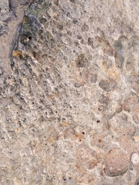 Doğal bir arka plan olarak kıyı kayaları ve deniz suyu. Boşluğu kopyala.