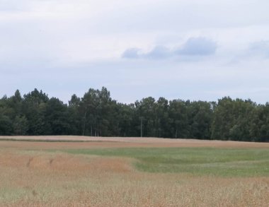 Kashubia 'da hava bulutlu. Gelen yağmur.