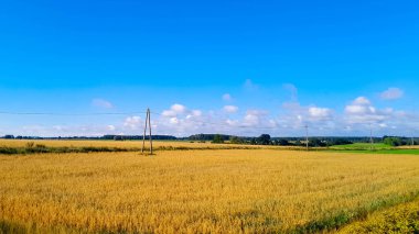 Yazın sonunda Kashubian tarlası. Kuzey Polonya 'da tarım.