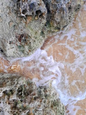 Doğal bir arka plan olarak kıyı kayaları ve deniz suyu. Boşluğu kopyala.