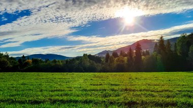 Güneşli bir günde Polonya Bieszczady Dağları 'nın güzel manzarası. Karpatların güzelliğini keşfetmek.