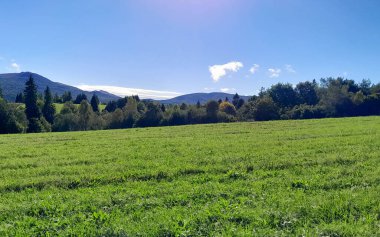 Güneşli bir günde Polonya Bieszczady Dağları 'nın güzel manzarası. Karpatların güzelliğini keşfetmek.
