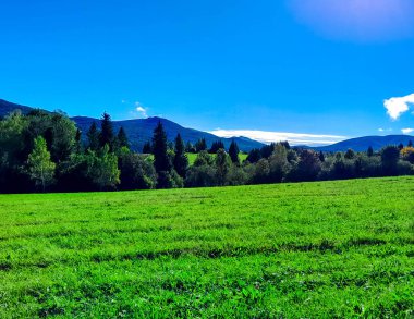 Güneşli bir günde Polonya Bieszczady Dağları 'nın güzel manzarası. Karpatların güzelliğini keşfetmek.