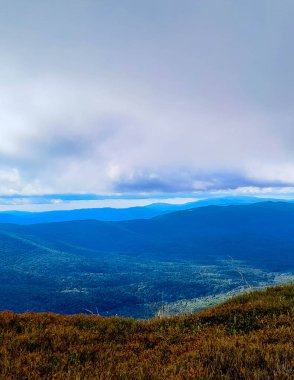 Bieszczady Dağları, Karpatian Dağları 'nın kuzey kesiminde yer alır. Doğanın güzelliği.