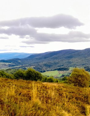 Bieszczady Dağları, Karpatian Dağları 'nın kuzey kesiminde yer alır. Doğanın güzelliği.
