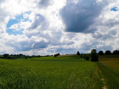 Wiezyca Bölgesi, Pomerania, Kashubia, Polonya 'nın güzel tepeleri ve çayır manzarası.