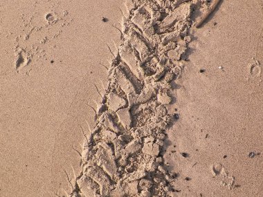 Çölün veya kumsalın üzerindeki lastik izleri. Doğal arka plan. Offroad ve seyahat kavramı.