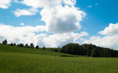 Yazın Kashubia 'nın çarpıcı doğası. Yeşil tarlalar, tepeler ve çayırlar.