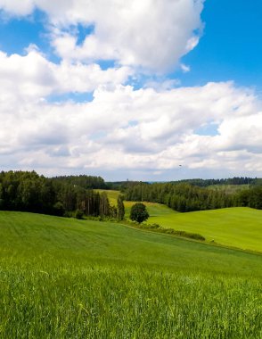 Yazın Kashubia 'nın inanılmaz doğası. Yeşil tarlalar, tepeler ve çayırlar.