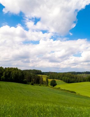 Yazın Kashubia 'nın inanılmaz doğası. Yeşil tarlalar, tepeler ve çayırlar.
