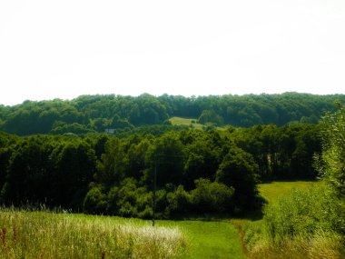 Forest and hills in Wiezyca, Kashubian Region, Poland. Green forest and hills of northern Poland.