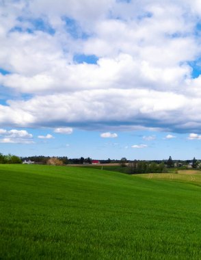 Kashubian Bölgesi, Wiezyca 'daki yeşil tarlalar ve tepeler. Wiezyca Polonya 'nın turistik bölgesidir.