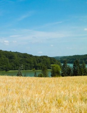 Yulaf tarlası manzarası ve Ostrzyckie Gölü, Wiezyca, Kashubian Bölgesi, Polonya. Doğa ve tarım kavramı.