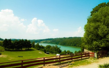 Polonya, Kashubia 'daki Wiezyca bölgesinin kırsal arazisi. Arka planda otlaklar, çayırlar ve Ostrzyckie gölü.