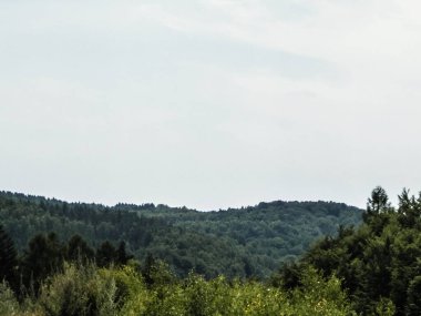 Forest and hills in Wiezyca, Kashubian Region, Poland. Green forest and hills of northern Poland.