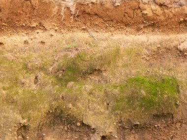 Toprak doğal bir arka plan. Boşluğu kopyala.