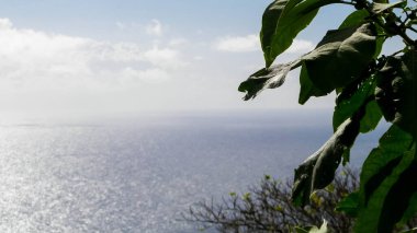 Sao Miguel 'in egzotik adası Azores' ten Atlantik deniz ufku. Boşluğu kopyala.