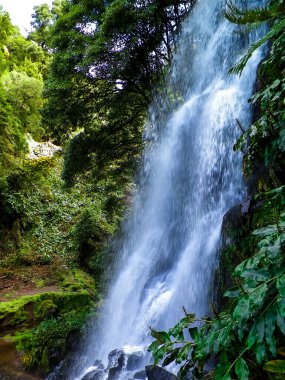 Azores 'de inanılmaz bir şelale. Sao Miguel Adası. Doğanın güzelliği.