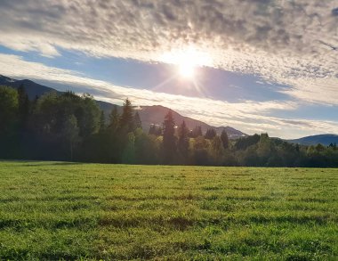 Güneşli bir günde Polonya Bieszczady Dağları 'nın güzel manzarası. Karpatların güzelliğini keşfetmek.