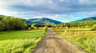 Güneşli bir günde Polonya Bieszczady Dağları 'nın güzel manzarası. Karpatların güzelliğini keşfetmek.