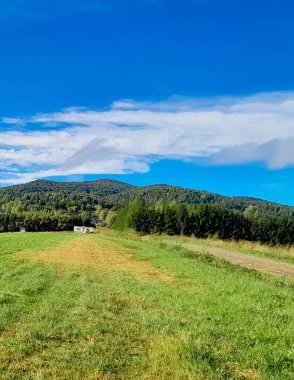 Güneşli bir günde Polonya Bieszczady Dağları 'nın güzel manzarası. Karpatların güzelliğini keşfetmek.