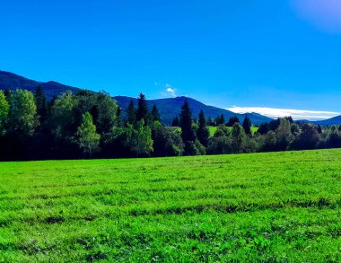 Güneşli bir günde Polonya Bieszczady Dağları 'nın güzel manzarası. Karpatların güzelliğini keşfetmek.