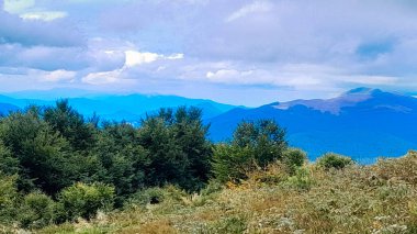 Dağın tepesinden Karpatların güzel manzarası. Doğanın güzelliği.