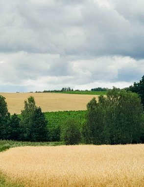 Kashubia 'da kara bulutlar var. Fırtına yaklaşıyor. Kuzey Polonya 'nın şaşırtıcı doğası.