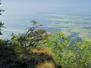 Seascape of Baltic Sea crystal water, seaweed and sea bottom. Copy space over horizon.
