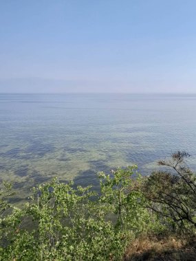 Seascape of Baltic Sea crystal water, seaweed and sea bottom. Copy space over horizon.